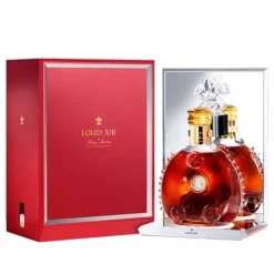 Alternative view of Louis XIII